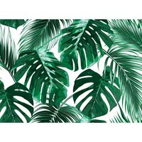 living walls Fotobehang Designwalls Palm Leaves 1 (5-delig)