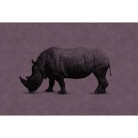 A.S. CREATIONS A.s.creations - Fototapete rhino 2 DD110506 Livingwalls Walls by Patel Vliestapete Grau Rosa Schwarz Violett - Grau, Rosa, Schwarz, Violett