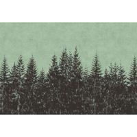 A.S. CREATIONS A.s.creations - Fototapete black forest 2 DD110516 Livingwalls Walls by Patel Vliestapete Grau Grün Schwarz - Grau, Grün, Schwarz