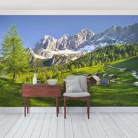 Bilderwelten Fototapete Berge - Steiermark Almwiese - Vliestapete Breit Größe HxB: 255cm x 384cm