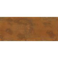A.S. CREATIONS DD108595 RustedPlate AP Digital 4 fototapete modern 250 x 600 cm (6 Teile) Online Fototapeten bestellen - Braun