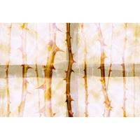 A.S. CREATIONS A.s.creations - DD117850 ThornArt1 Atelier 47 fototapete natur 270 x 400 cm (4 Teile) Online Fototapeten bestellen - Orange / Terrakotta, Weiß