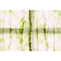 A.S. CREATIONS A.s.creations - DD117855 ThornArt2 Atelier 47 fototapete natur 270 x 400 cm (4 Teile) Jetzt Fototapeten günstig kaufen - Grün, Weiß