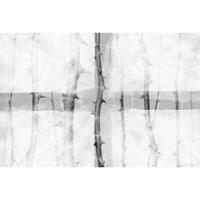 A.S. CREATIONS A.s.creations - DD117860 ThornArt3 Atelier 47 fototapete natur 270 x 400 cm (4 Teile) Online Fototapeten bestellen - Grau, Weiß