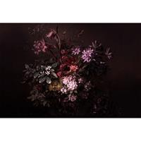 A.S. CREATIONS A.s.creations - Fototapete bouquet noir 1 DD110631 Livingwalls Walls by Patel Vliestapete Grün Rosa Rot Schwarz Violett - Grün, Rosa, Rot, Schwarz,