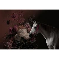 A.S. CREATIONS A.s.creations - Fototapete horses 1 DD110641 Livingwalls Walls by Patel Vliestapete Orange Rosa Rot Schwarz Weiss - Orange, Rosa, Rot, Schwarz, Weiß