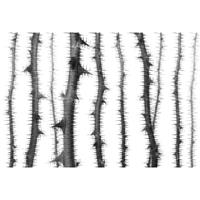 A.S. CREATIONS A.s.creations - DD117870 BlurredThorns2 Atelier 47 fototapete natur 270 x 400 cm (4 Teile) Online Fototapeten bestellen - Grau, Weiß