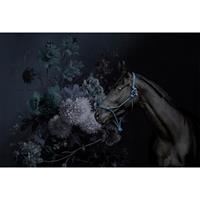 A.S. CREATIONS Fototapete horses 2 DD110646 Livingwalls Walls by Patel Vliestapete Blau Grün Schwarz Türkis - Blau, Grün, Schwarz, Türkis