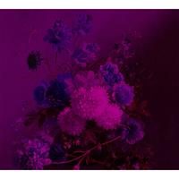 A.S. CREATIONS A.s.creations - Fototapete bouquetVibran3 DD110711 Livingwalls Walls by Patel Vliestapete Blau Schwarz Violett - Grün, Rot, Schwarz, Türkis