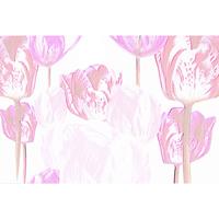 Architects Paper Fotobehang Atelier 47 Tulip Artwork 1 (4-delig)