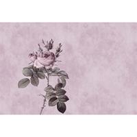 A.S. CREATIONS A.s.creations - Fototapete rose 1 DD110741 Livingwalls Walls by Patel Vliestapete Grau Rosa Braun - Beige, Rosa, Schwarz, Türkis