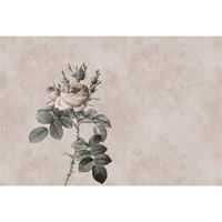 A.S. CREATIONS A.s.creations - Fototapete rose 3 DD110751 Livingwalls Walls by Patel Vliestapete Beige Grau - Blau, Grün, Rot, Türkis, Violett