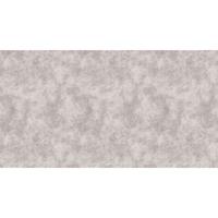 A.S. CREATIONS A.s.creations - Fototapete greige canvas2 DD110806 Livingwalls Walls by Patel Vliestapete Beige Creme Grau Braun - Beige, Grau, Grün