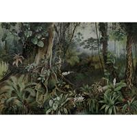 LIVINGWALLS Fototapete jungle 2 DD110696 Walls by Patel Vliestapete Beige Braun Grün - Braun, Grau, Grün, Weiß - 