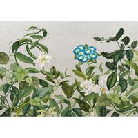 A.S. CREATIONS A.s.creations - DD118075 BotanicSketch2 Atelier 47 fototapete blumen natur 270 x 400 cm (4 Teile) Fototapeten Online-Shop - Grau, Grün