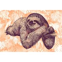 A.S. CREATIONS A.s.creations - DD118135 SlothDesign2 Atelier 47 fototapete tiere regenwald palmen 270 x 400 cm (4 Teile) Fototapeten online entdecken - Orange /