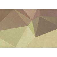 A.S. CREATIONS A.s.creations - Fototapete polygonal 1 DD110936 Livingwalls Walls by Patel Vliestapete Braun Gelb Orange - Grau, Orange, Rot