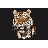 A.S. CREATIONS A.s.creations - DD108920 TigerPolygon AP Digital 4 fototapete tiger tiere 270 x 400 cm (4 Teile) Fototapeten bei BRICOFLOR kaufen - Braun, Weiß