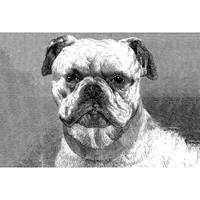 A.S. CREATIONS A.s.creations - DD108930 Bulldog AP Digital 4 fototapete tiere schwarz weiß 270 x 400 cm (4 Teile) Jetzt Fototapeten günstig kaufen - Grau, Weiß