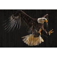 A.S. CREATIONS A.s.creations - DD118185 PolygonEagle1 Atelier 47 fototapete tiere holz natur 270 x 400 cm (4 Teile) Jetzt Fototapeten günstig kaufen - Braun, Orange