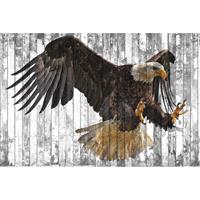 A.S. CREATIONS DD118190 PolygonEagle2 Atelier 47 fototapete tiere holz natur 270 x 400 cm (4 Teile) Fototapeten bei BRICOFLOR kaufen - Grau, Orange / Terrakotta