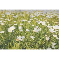 Architects Paper Fotobehang Flower Concrete (set, 4-delig)