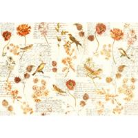 A.S. CREATIONS A.s.creations - DD118225 BirdPoesie2 Atelier 47 fototapete tiere vögel natur blumen 270 x 400 cm (4 Teile) Jetzt Fototapeten günstig kaufen - Orange