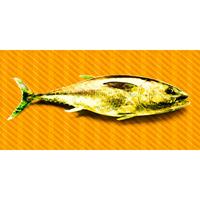 A.S. CREATIONS A.s.creations - DD118250 TunaGraphic1 Atelier 47 fototapete tiere unterwasser 270 x 600 cm (6 Teile) Fototapeten online entdecken - Grün, Orange /