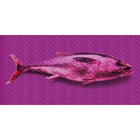 A.S. CREATIONS A.s.creations - DD118260 TunaGraphic3 Atelier 47 fototapete tiere unterwasser 270 x 600 cm (6 Teile) Online Fototapeten bestellen - Pink / Rosa,
