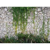 living walls Fotobehang Designwalls Stone Wall (5-delig)