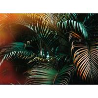 living walls Fotobehang Designwalls Jungle Colour (5-delig)