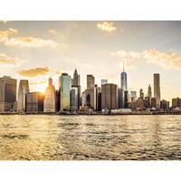 living walls Fotobehang New York City Manhattan Skyline