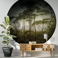 K&L WALL ART runde Dschungel Tapete Regenwald Fototapete Jungle Poster Ø140cm