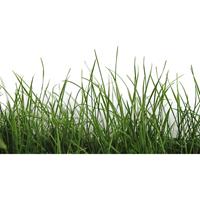 Architects Paper Fotobehang Green Grass (set, 4-delig)