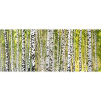 Architects Paper Fotobehang Birch forest (set, 6-delig)