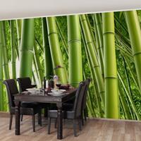 Bilderwelten Fototapete Bambus - Bamboo Trees - Vliestapete Breit Größe HxB: 225cm x 336cm