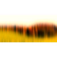 A.S. CREATIONS A.s.creations - DD118420 Diff.TreeRow2 Atelier 47 fototapete landschaft abstrakt modern 270 x 500 cm (5 Teile) Fototapeten Online-Shop - Grün, Orange