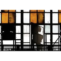 A.S. CREATIONS A.s.creations - Fototapete bronx 2 DD113302 Livingwalls Walls by Patel Vliestapete Orange Schwarz Weiss - Grau, Schwarz