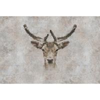 A.S. CREATIONS A.s.creations - Fototapete big three 3 DD113502 Livingwalls Walls by Patel Vliestapete Beige Braun Braun - Blau, Grün, Türkis