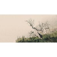 A.S. CREATIONS A.s.creations - DD116895 DeathTree2 Atelier 47 fototapete baum 270 x 600 cm (6 Teile) Fototapeten Online-Shop - Braun, Grün