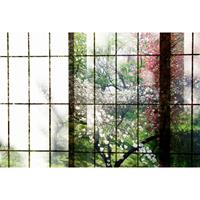 A.S. CREATIONS A.s.creations - Fototapete orchard 2 DD113732 Livingwalls Walls by Patel Vliestapete Grün Rosa Rot Schwarz Weiss - Beige, Rosa