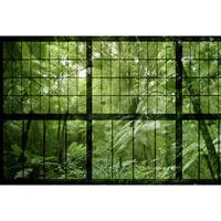 living walls Fotobehang Walls by Patel Rainforest 2 (4-delig)