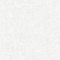 A.S. CREATIONS Weiße Beton-Tapete Struktur 362074 | Betonoptik Tapete im Industrial Style 36207-4 | Vliestapete für Wohnzimmer, Schlafzimmer, Flur! - Grau, Weiß