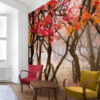Bilderwelten Fototapete Wald - Japan im Herbst - Vliestapete Quadrat Größe HxB: 288cm x 288cm