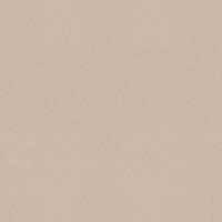 A.S. CREATIONS A.s.creations - Tapete einfarbig Tapete uni Beige Crème Grau Vliestapete Beige Crème Grau 343276 34327-6 - Beige / Crème, Grau