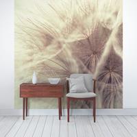 Bilderwelten Fototapete Pusteblumen - Detailreiche Pusteblumen Makroaufnahme mit Vintage Blur Effekt - Vliestapete Quadrat Größe HxB: 288cm x 288cm