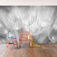 Bilderwelten Fototapete Pusteblumen - Pusteblumen Makroaufnahme in schwarz weiss - Vliestapete Breit Größe HxB: 225cm x 336cm