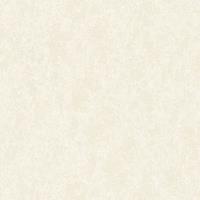A.S. CREATIONS A.s.creations - Tapete einfarbig Tapete uni Beige Crème Grau Vliestapete Beige Crème Grau 349031 34903-1 - Beige / Crème, Grau