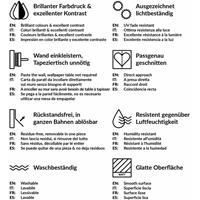 Bilderwelten Vliestapete - Kölner Dom - Fototapete Breit Größe HxB: 255cm x 384cm