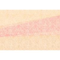 A.S. CREATIONS A.s.creations - DD117445 FinePattern1 Atelier 47 fototapete modern 270 x 400 cm (4 Teile) Online Fototapeten bestellen - Orange / Terrakotta, Pink /